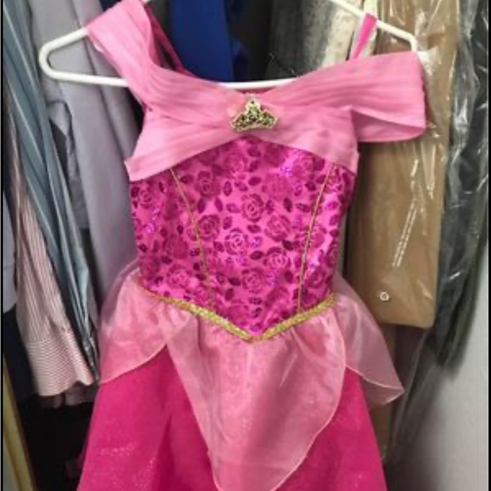 Aurora Disney Princess Dress
